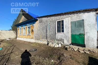 Международный день птиц - РИА Новости, 01.04.2022