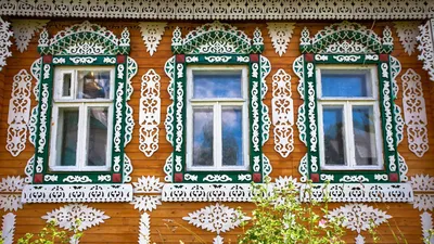 Птица бьется в окно: о чем говорит примета - МЕТА