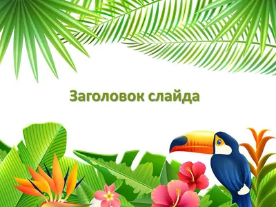 Птица в ветренный день Дерево без листьев осенью Текстура и фон Стоковое  Изображение - изображение насчитывающей пуща, тавром: 164659041
