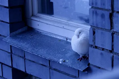Одиночество - величайшая сила человека . Yolg'izlik insonning eng katta  kuchidir | Instagram
