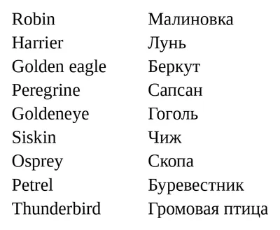 Общий птиц в английском поле Стоковое Фото - изображение насчитывающей  обще, ангстрома: 213355166
