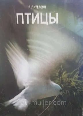Мини-карточки Домана Птицы украинско-английские (55315). Купить карточки в  karapuzov.com.ua