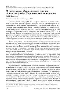 Кормушка для птиц \"Изба\" в интернет-магазине Ярмарка Мастеров по цене 7500  ₽ – 5R0Z9BY | Кормушки для птиц, Кемерово - доставка по России