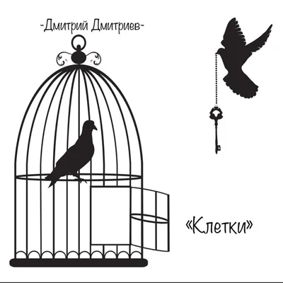 Покормите птиц — Vsolikamske.ru