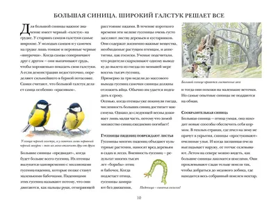 деревянный голубь летит сквозь деревья Стоковое Фото - изображение  насчитывающей древесина, балансируя: 214017608