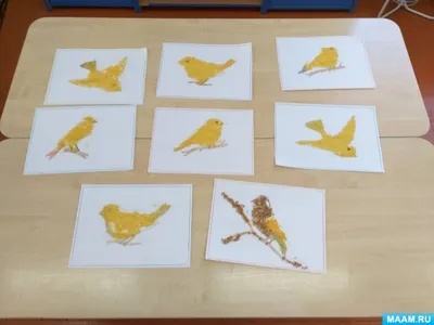 Милая Птичка Зеленый Фон Природы Птица Красный Поддержал Shrike Ланий  Коллурио — стоковые фотографии и другие картинки Без людей - iStock