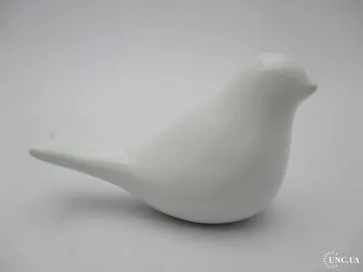 Птица на ветке PNG , прут, Птичка, животное PNG рисунок для бесплатной  загрузки
