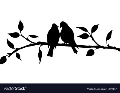 Иллюстрация троповой птицы Логотип цвета колибри или Colibri прозрачный  Иллюстрация вектора - иллюстрации насчитывающей форма, припевать: 122052593