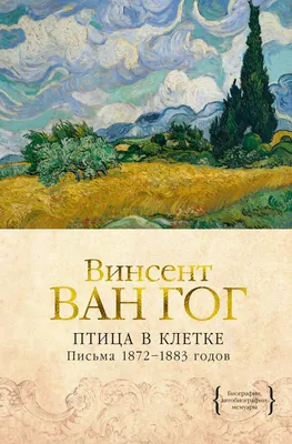 Птица Сорока С Письмом — стоковая векторная графика и другие изображения на  тему Без людей - Без людей, Ветвь - часть растения, Горизонтальный - iStock