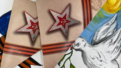 Письмо Гарри Поттеру. В барнаульский дворе залетела краснокнижная птица