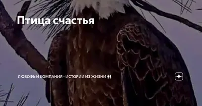 Мастер-класс по изготовлению птицы-оберега из джутового шпагата «Птица  счастья» (10 фото). Воспитателям детских садов, школьным учителям и  педагогам - Маам.ру