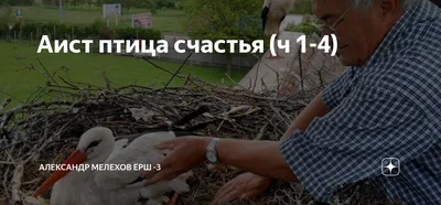 Делаем оберег «Солнечный конь»: Мастер-Классы в журнале Ярмарки Мастеров