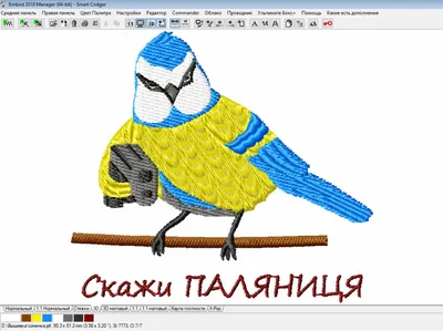 Птичий попугай, голубая сойка, перо, клюв, мультфильм, рисунок, синица,  певчая птица, мультфильм, клюв, птица png | PNGWing