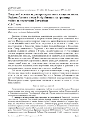 Среднезимний учет птиц — на Тилигульском лимане экологи провели  исследования (фото)