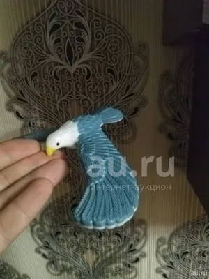 Амурский селянин выращивает экзотических птиц