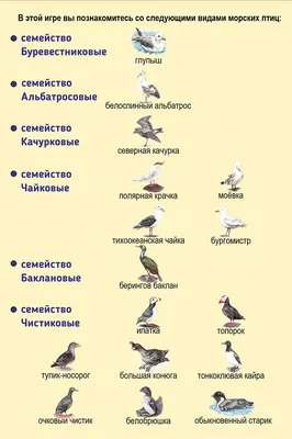 RIO минеральная смесь для пищеварения для птиц, 4 кг.