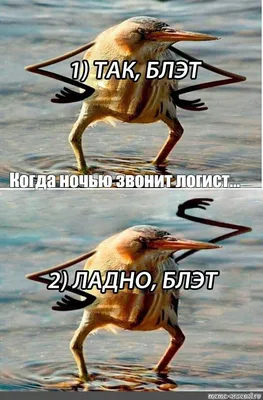 Подборка известных мемов с Aliexpress.