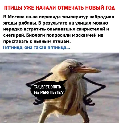 Когда появился мем \"Так, блэт\"?» — Яндекс Кью