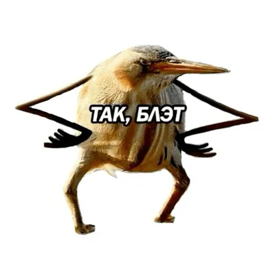 Женская футболка хлопок Так, блэт купить в интернет магазине | Цена 1665  руб | Интернет приколы