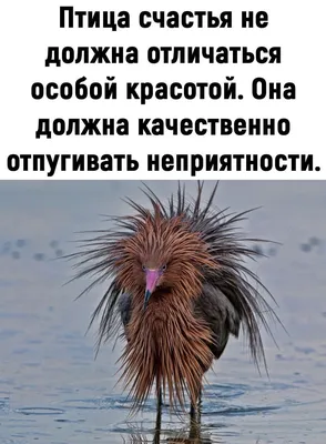 Lumeland - \"Так блэт\" #сувениры, #витражныйсувенир, | Facebook