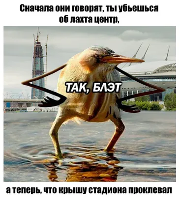 Птица волчок - 59 фото
