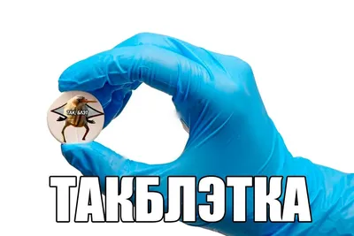 живность :: так блэт :: птица / смешные картинки и другие приколы: комиксы,  гиф анимация, видео, лучший интеллектуальный юмор.