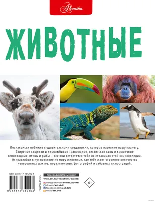 Малайан: птица-героиня застрелила сабах-малайсию Стоковое Фото -  изображение насчитывающей биографической, пуща: 253307220