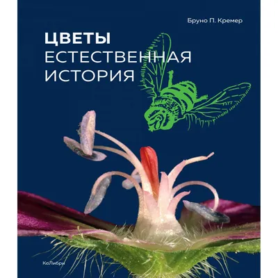 Белый лист раскраски находится перед несколькими кистями и масляной краской,  удача, краска, искусство фон картинки и Фото для бесплатной загрузки