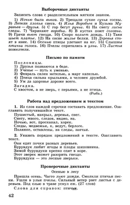 Любовь к животным - с детства: Дончанка Галина Кондрашова спасает диких птиц,  попавших в беду - KP.RU