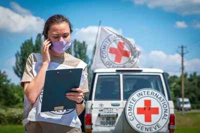 Декор поближе, гнездо и птички из шоколада. Со светом сегодня беда,  пасмурно весь день, и фото темные😔 | Lion sculpture, Sculpture, Statue