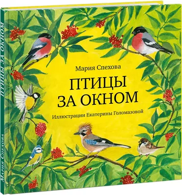 Синица за окном стоковое изображение. изображение насчитывающей зима -  105217135