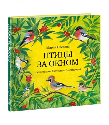 Птица около окна - 71 фото