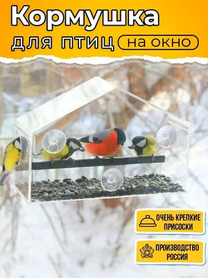 Кормушка для птиц оконная ЭлараHome на присосках арт. MP_001 | отзывы