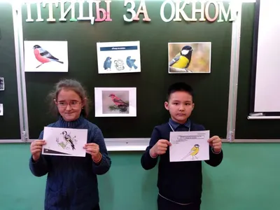 Птица стучит в окно: что означает примета | TUT-NEWS.RU | Дзен