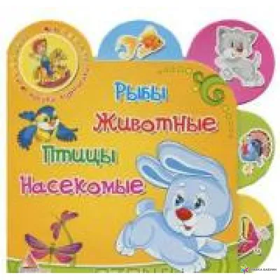 Книга Все насекомые, птицы, рыбы с крупными буквами - купить детской  энциклопедии в интернет-магазинах, цены на Мегамаркет | 13750