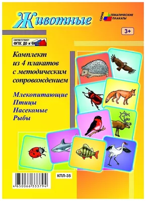 Купить Все насекомые, птицы, рыбы с крупными буквами Ананьева Е.Г. |  Book24.kz