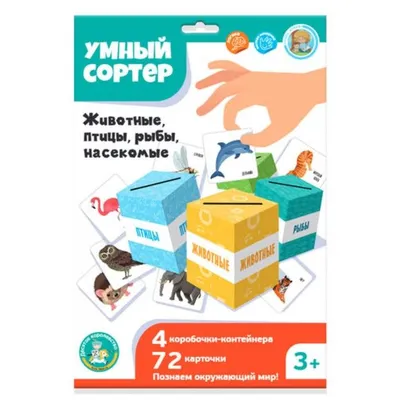 Экосистема пруда. Разнообразные жители пруда ловят насекомых и птиц пиявки  амфибии в их естественной среде обитания. Иллюстрация вектора - иллюстрации  насчитывающей житель, экологичность: 213237949