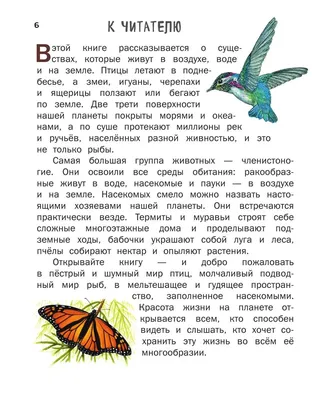Лексическая тетрадь № 3 Звери, птицы, насекомые, рыбы, времена года -  купить подготовки к школе в интернет-магазинах, цены в Москве на Мегамаркет  | 2573830