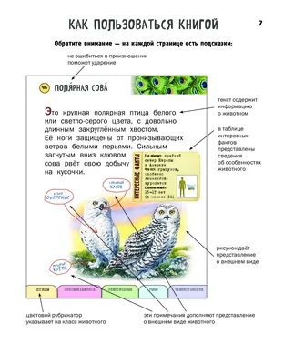 Развивающая игра \"Животные, птицы, рыбы, насекомые\" / 9655032 - купить с  доставкой по выгодным ценам в интернет-магазине OZON (1280533575)