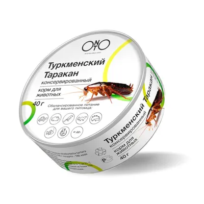 Металлические птицы, насекомые и рыбы от мастера из Франции