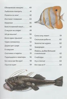 🥇349 р. – Туркменский таракан ONTO корм для животных, птиц, рыб, грызунов  и рептилий 40 гр купить в Калининграде с доставкой 🐈 Интернет-зоомагазин  «КАТИКО»
