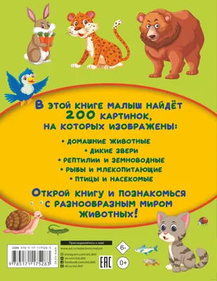 Странные яйца, которые откладывают животные (18 фото) » Невседома