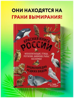 Развивающая игра для маленьких «Животные, птицы, рыбы, насекомые». Серия  Умный сортер (id 110790153)