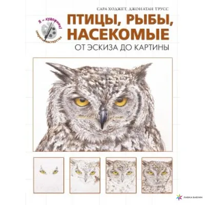 Пин от пользователя Oksanaida на доске животные, птицы, рыбы, насекомые.. |  Животные, Птицы, Насекомые