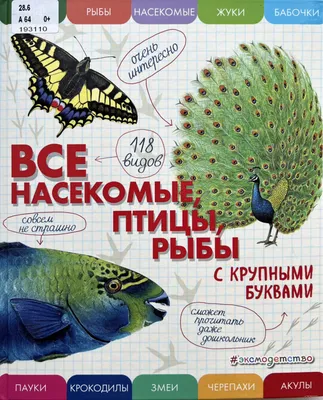 Книга Птицы, рыбы, насекомые. От эскиза до картины купить по выгодной цене  в Минске, доставка почтой по Беларуси
