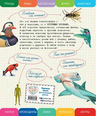 Комплект плакатов \"Животные\" (4 плаката \"Млекопитающие\", \"Птицы\", \"Насекомые\",  \"Рыбы\" с методическим сопровождением) – купить по цене: 201,60 руб. в  интернет-магазине УчМаг