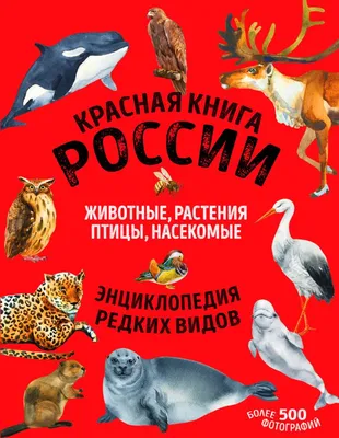 Красная книга России Ирина Пескова, Е. Целлариус - купить книгу Красная  книга России в Минске — Издательство АСТ на OZ.by