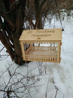 Картинка птицам от владика фото