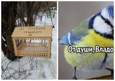 Утки-мандаринки вернулись в Солёную протоку в пригороде Владивостока –  Новости Владивостока на VL.ru