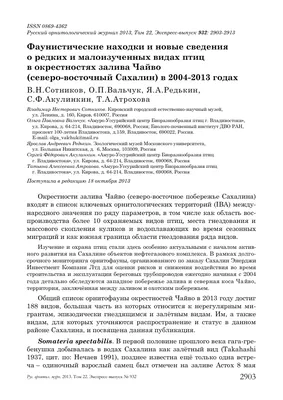 Встречи аномально окрашенных птиц на Дальнем Востоке России – тема научной  статьи по биологическим наукам читайте бесплатно текст  научно-исследовательской работы в электронной библиотеке КиберЛенинка